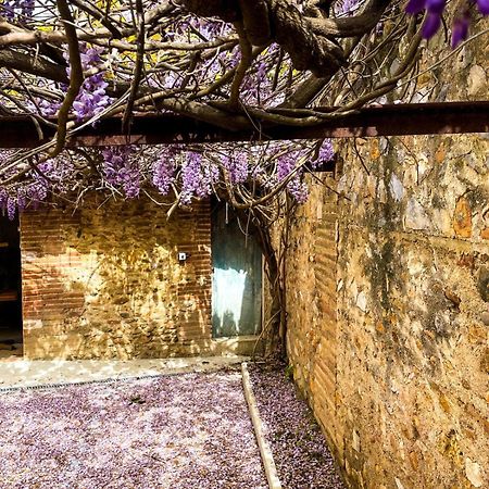 Gite De Charme Du Domaine Pagnon Guillemette Торрей Екстер'єр фото